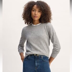 Everlane The Classic Crew in Cashmere Sweater